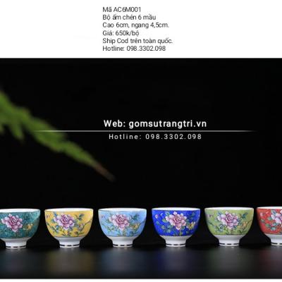 Bộ Chén 6 Mầu Hoa Mẫu Đơn